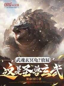 这是圣兽玄武在线观看