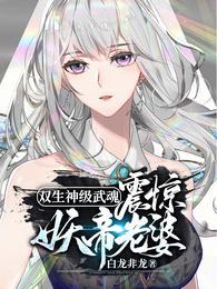 第一章是双生武魂