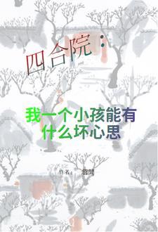 我的一个四合院
