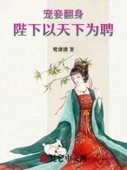宠妾成妃