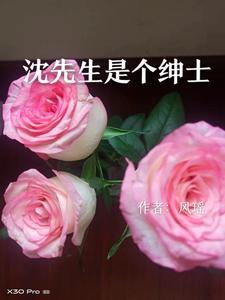 沈先生现状