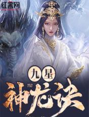 九星神龙诀完本