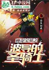 神奇宝贝之波导的圣骑士(1-2740)