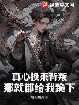 真心换来了什么的句子