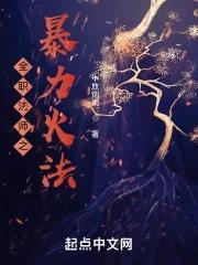 全职法师游戏手游