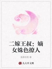 二嫁嫡妻