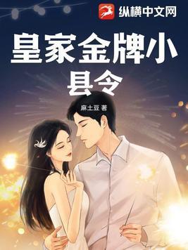 皇家金牌县令 板面王仔无弹窗