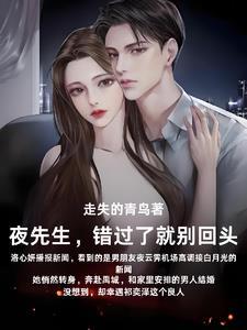 夜先生的心尖宝免费阅读
