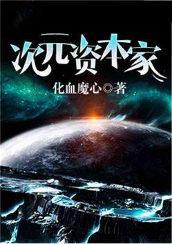 次元资本家第八区