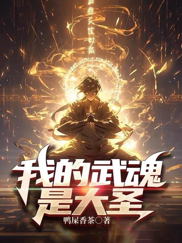 我的武魂是魂力