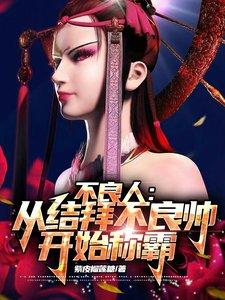 不良人中的不良帅