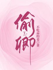 偷卿宝鉴2
