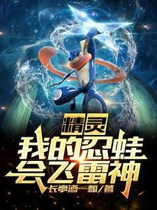 精灵我的忍蛙会飞雷神免费阅读