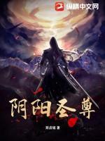 阴阳圣子