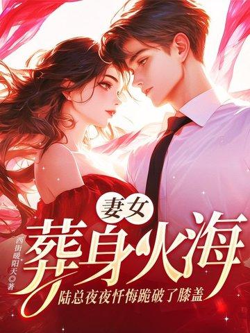 陆总追妻路坎坷