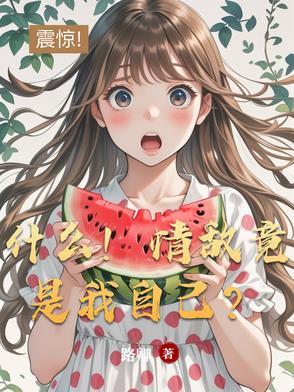 情敌啥子意思