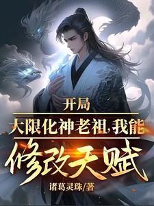 开局选择大限圣人顶点