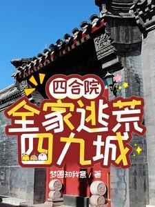 四合院全家逃荒四九城剧情