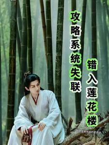 攻略系统出了错剧透
