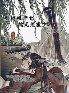 魔道祖师之魏无羡转世
