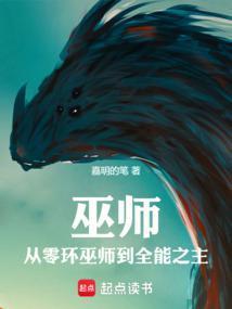 巫师之上